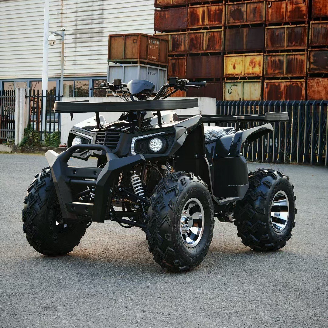 Outdoor Adventure Quad Biking - 올터레인 샌드 버기 200CC GY6, 성인용