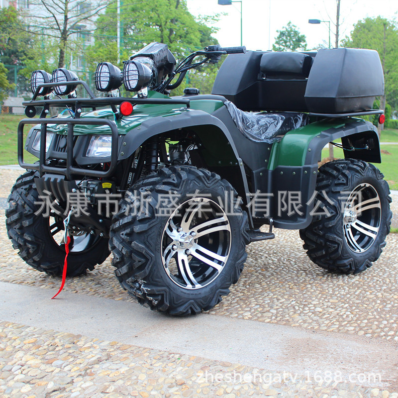 Outdoor Adventure Quad Biking - ATV 250cc, 4륜 전지형 차량, 오프로드