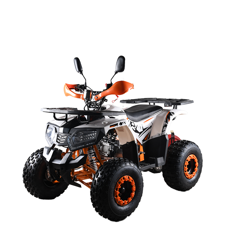110cc CE EPA 인증 ATV 성인용 4륜 쿼드  - Outdoor Adventure Quad Biking 리뷰 및 가격