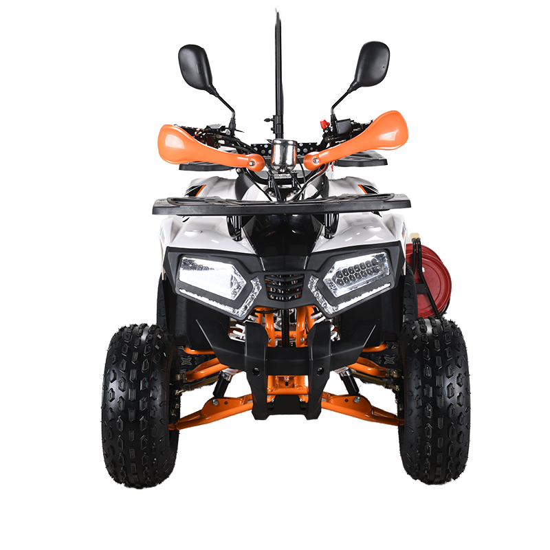 110cc CE EPA 인증 ATV 성인용 4륜 쿼드  - Outdoor Adventure Quad Biking 리뷰 및 가격