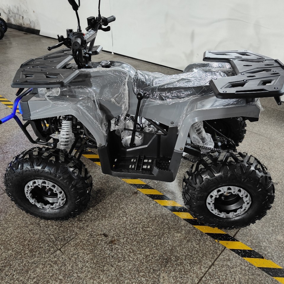ATV 125cc, 전지형 쿼드 바이크, 오프로드 비치 - Outdoor Adventure Quad Biking 리뷰 및 가격