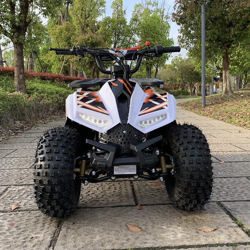 125CC ATV, 소형 팔콘 전지형 차량, 성인용 오 - Outdoor Adventure Quad Biking 리뷰 및 가격