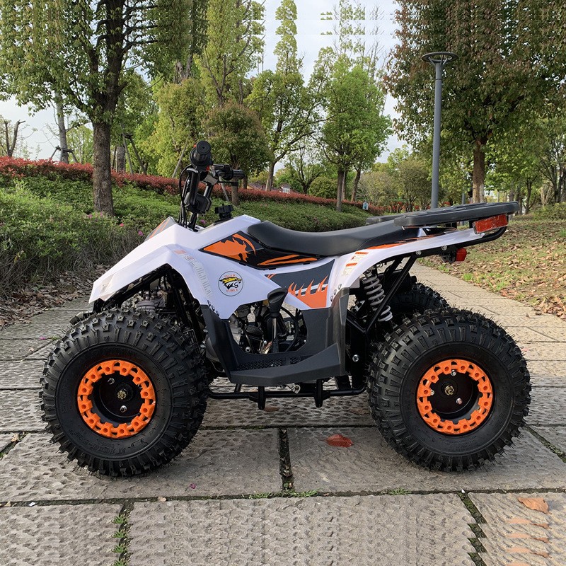 125CC ATV, 소형 팔콘 전지형 차량, 성인용 오 - Outdoor Adventure Quad Biking 리뷰 및 가격