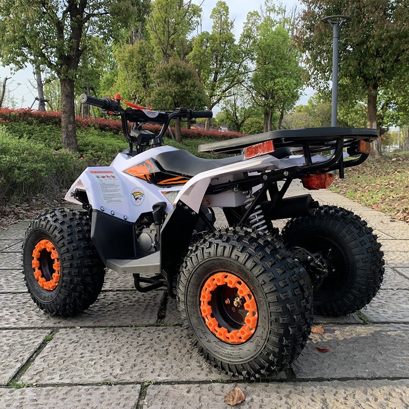125CC ATV, 소형 팔콘 전지형 차량, 성인용 오 - Outdoor Adventure Quad Biking 리뷰 및 가격