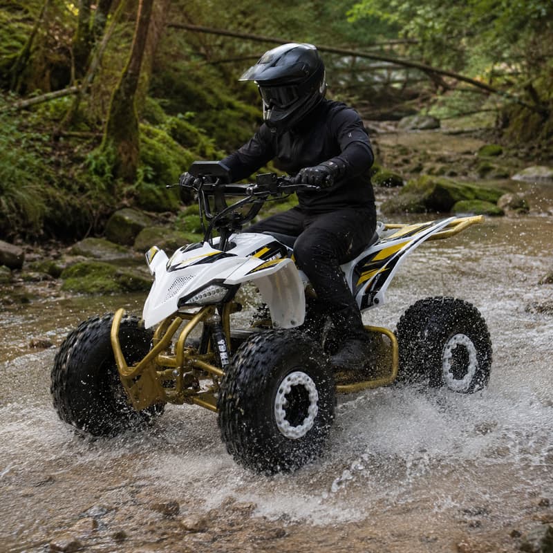 성인용 맞춤형 사륜 ATV 스포츠 쿼드 바이크 오프로드 - Outdoor Adventure Quad Biking 리뷰 및 가격