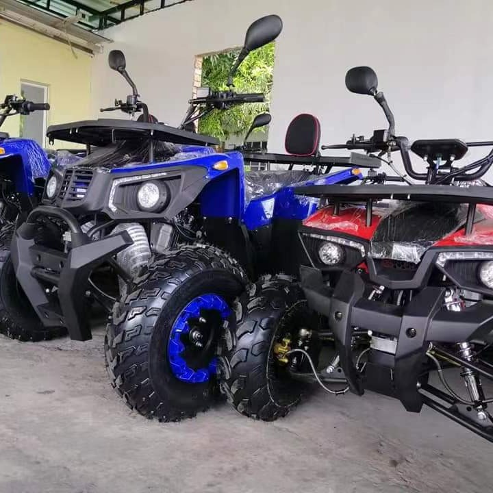 올터레인 샌드 버기 200CC GY6, 성인용 오프로드 - Outdoor Adventure Quad Biking 리뷰 및 가격