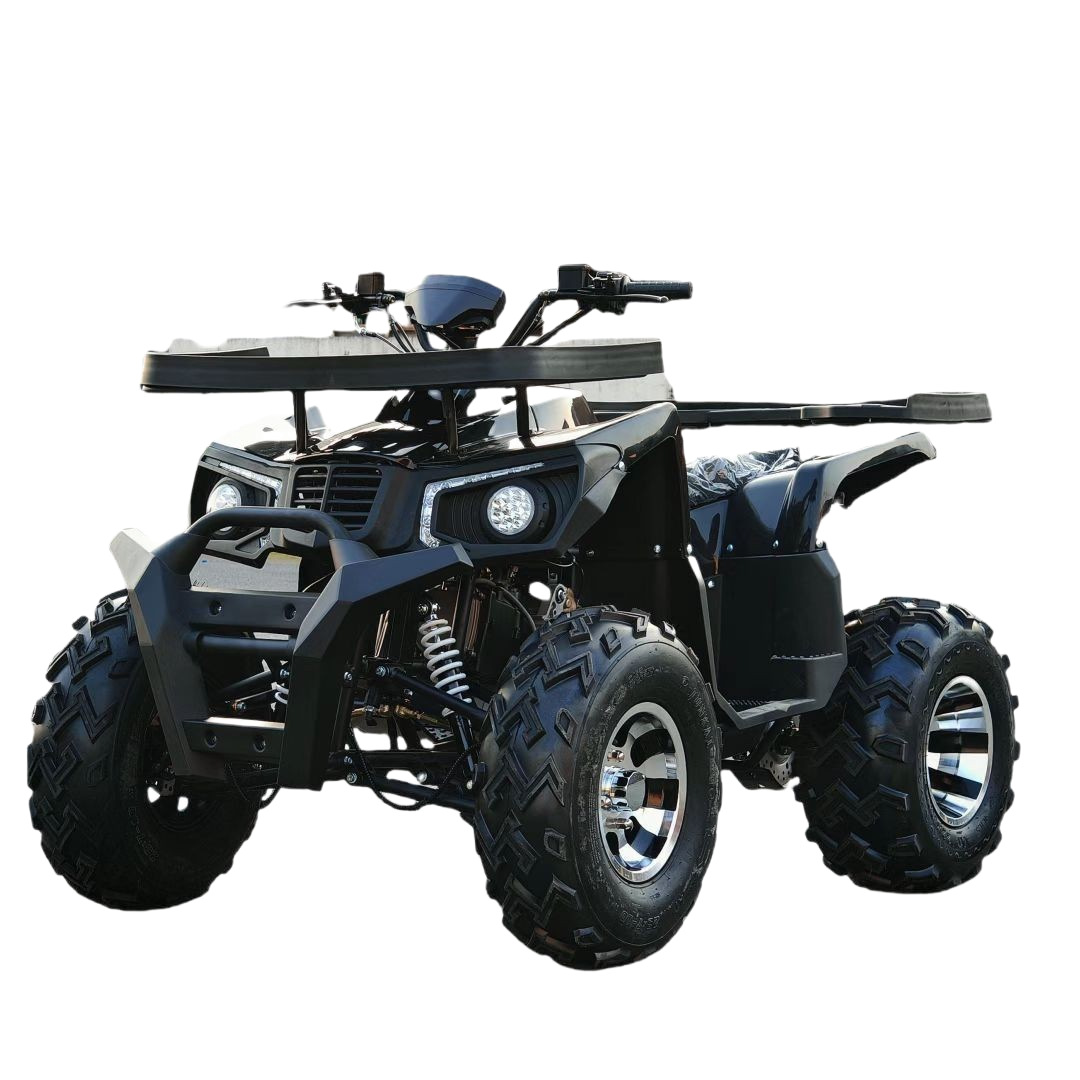 올터레인 샌드 버기 200CC GY6, 성인용 오프로드 - Outdoor Adventure Quad Biking 리뷰 및 가격
