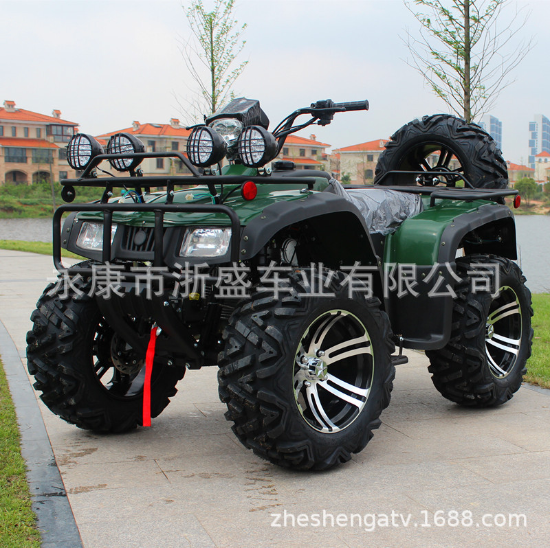 ATV 250cc, 4륜 전지형 차량, 오프로드 쿼드  - Outdoor Adventure Quad Biking 리뷰 및 가격