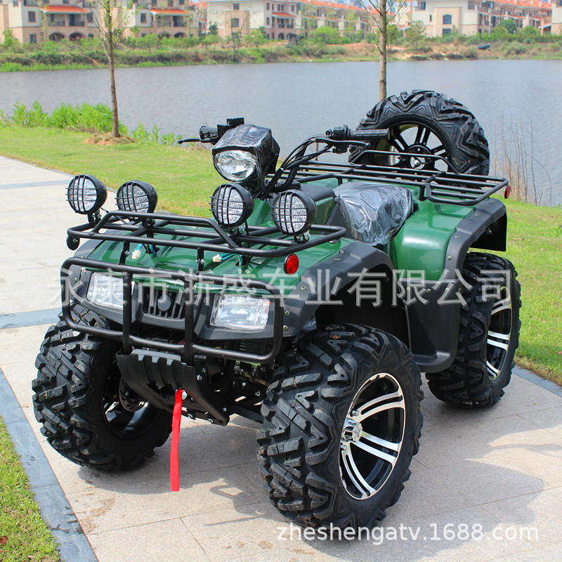 ATV 250cc, 4륜 전지형 차량, 오프로드 쿼드  - Outdoor Adventure Quad Biking 리뷰 및 가격