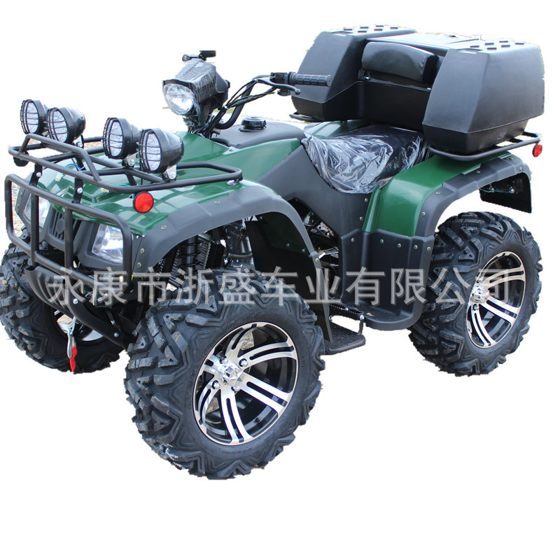 ATV 250cc, 4륜 전지형 차량, 오프로드 쿼드  - Outdoor Adventure Quad Biking 리뷰 및 가격